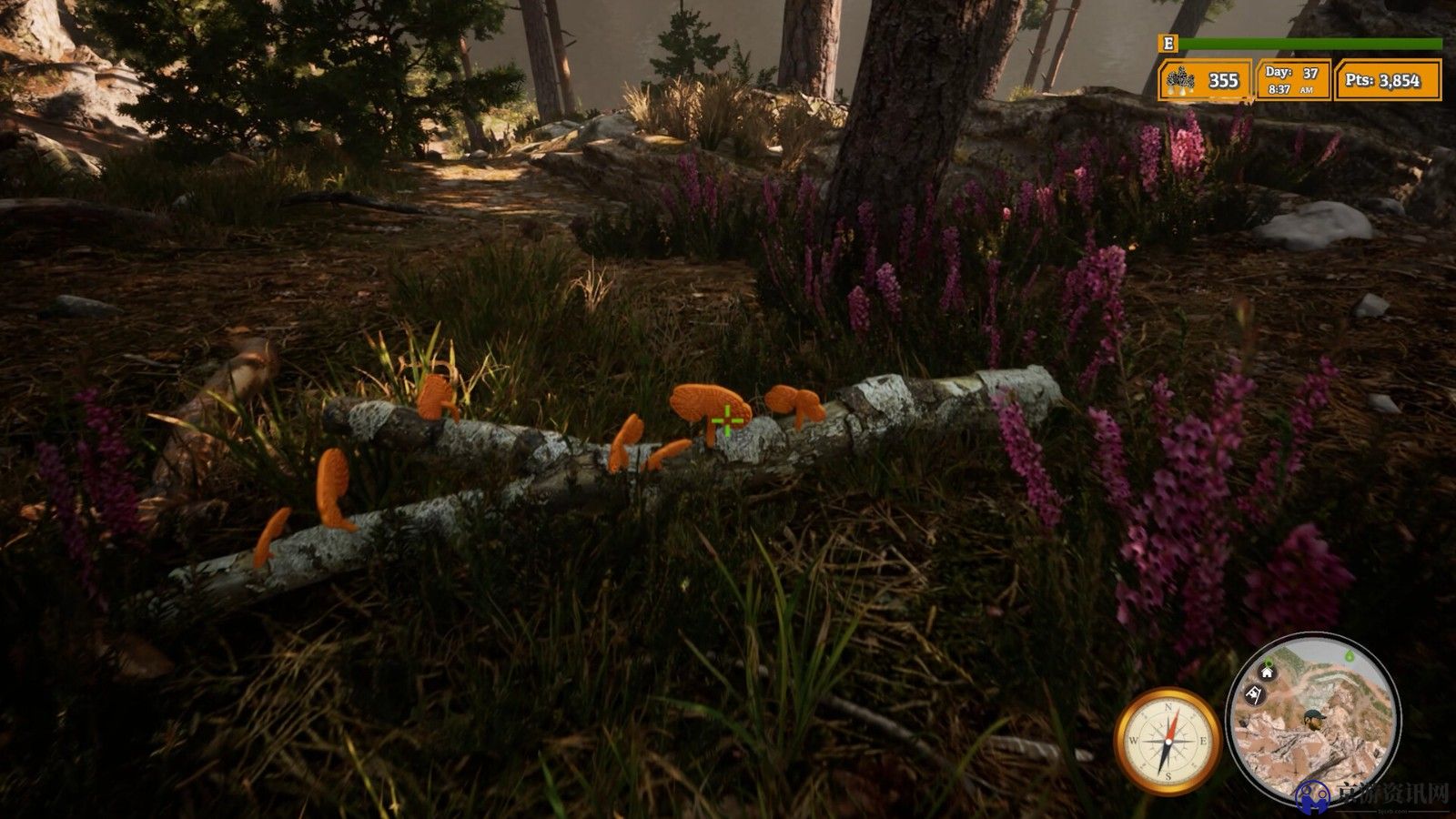 《羊肚菌：狩猎2》游戏性预告 现已正式推出_图片